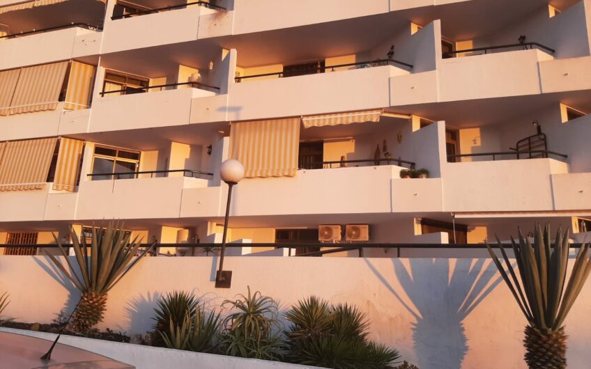 Summerland, Los Cristianos