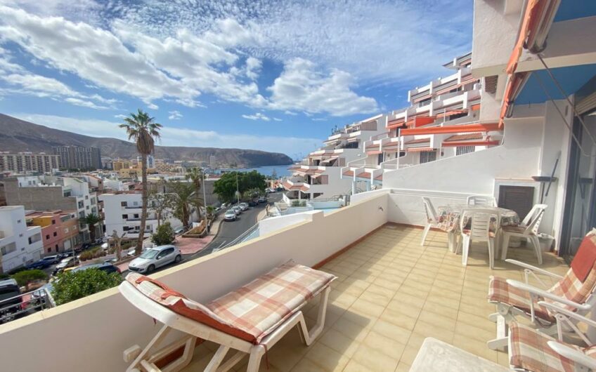 Eucaliptus, Los Cristianos