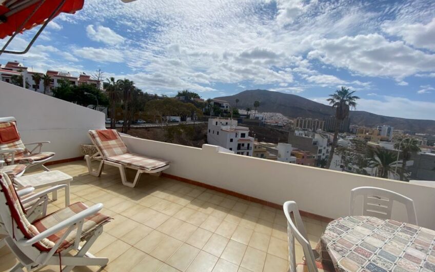 Eucaliptus, Los Cristianos