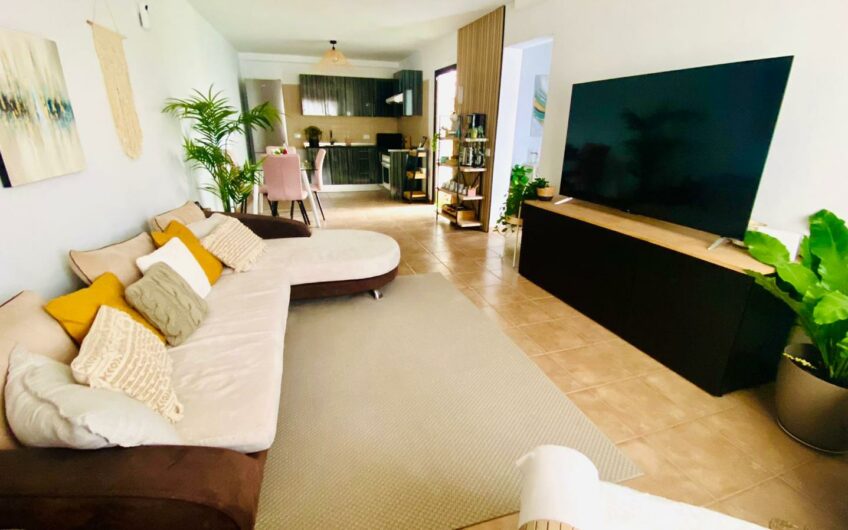 Adeje- House with private gym